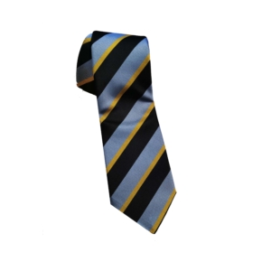 Custom silk ties | aldi