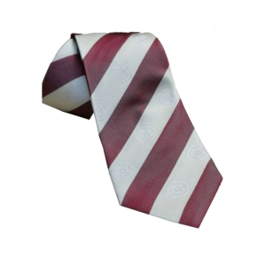 Custom silk ties | aldi