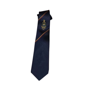 Custom silk ties | aldi