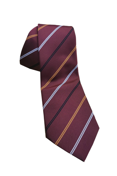 Secondary school ties / high school ties | eco-ties