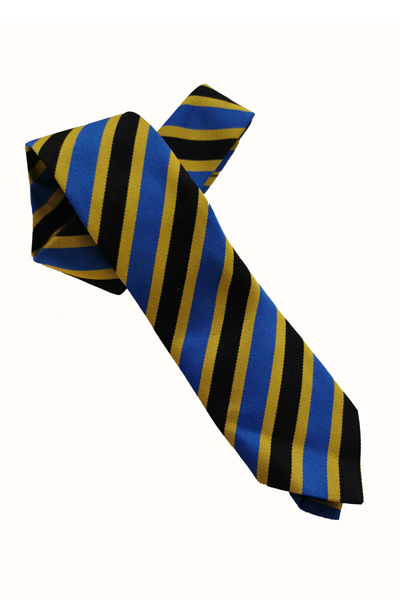 Primary school ties | eco-ties